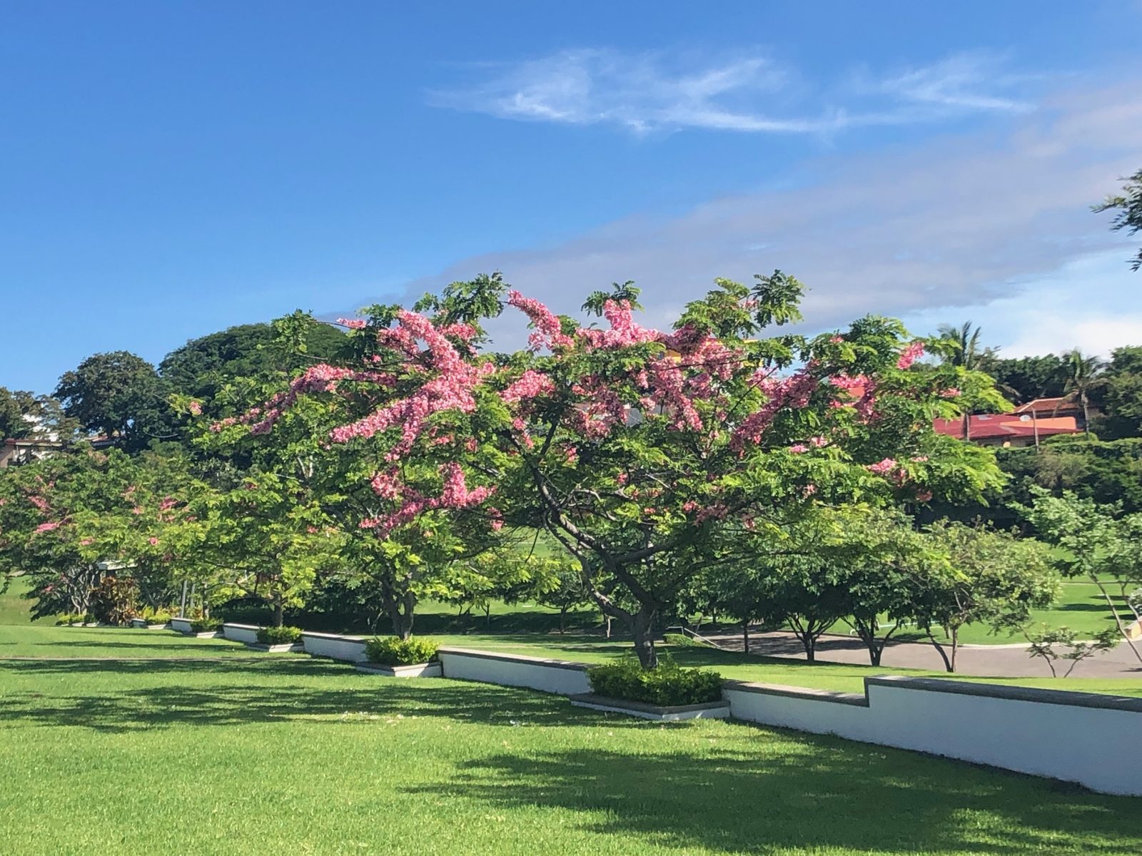 Jardines