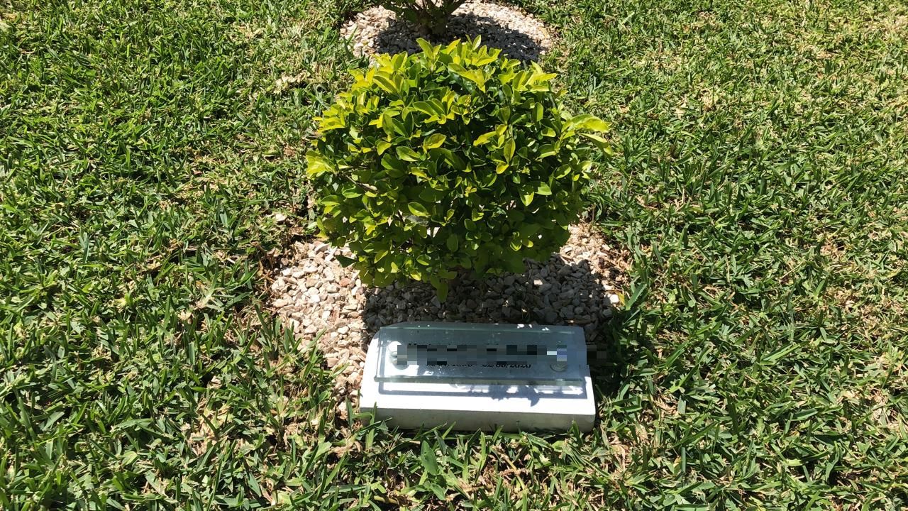 Cenizario bajo árbol con placa conmemorativa en los jardines de Memorial Park