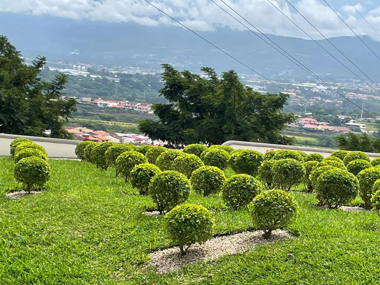 Cenizarios con panorámica del valle central