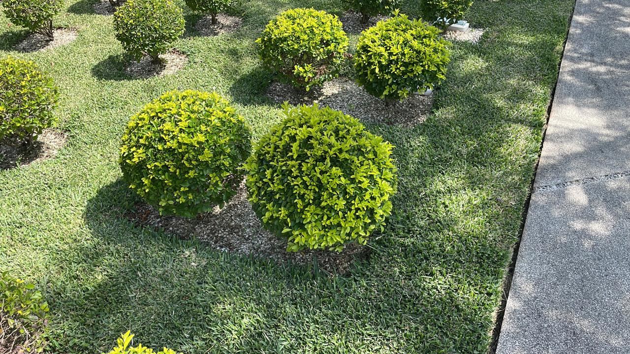 Área de cenizarios entre jardines cuidados