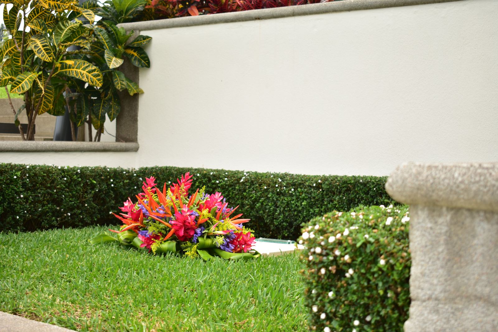 Flores tropicales en los jardines