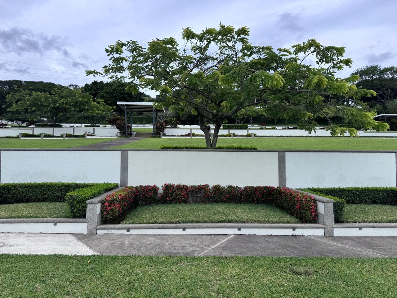 Jardines y pérgola