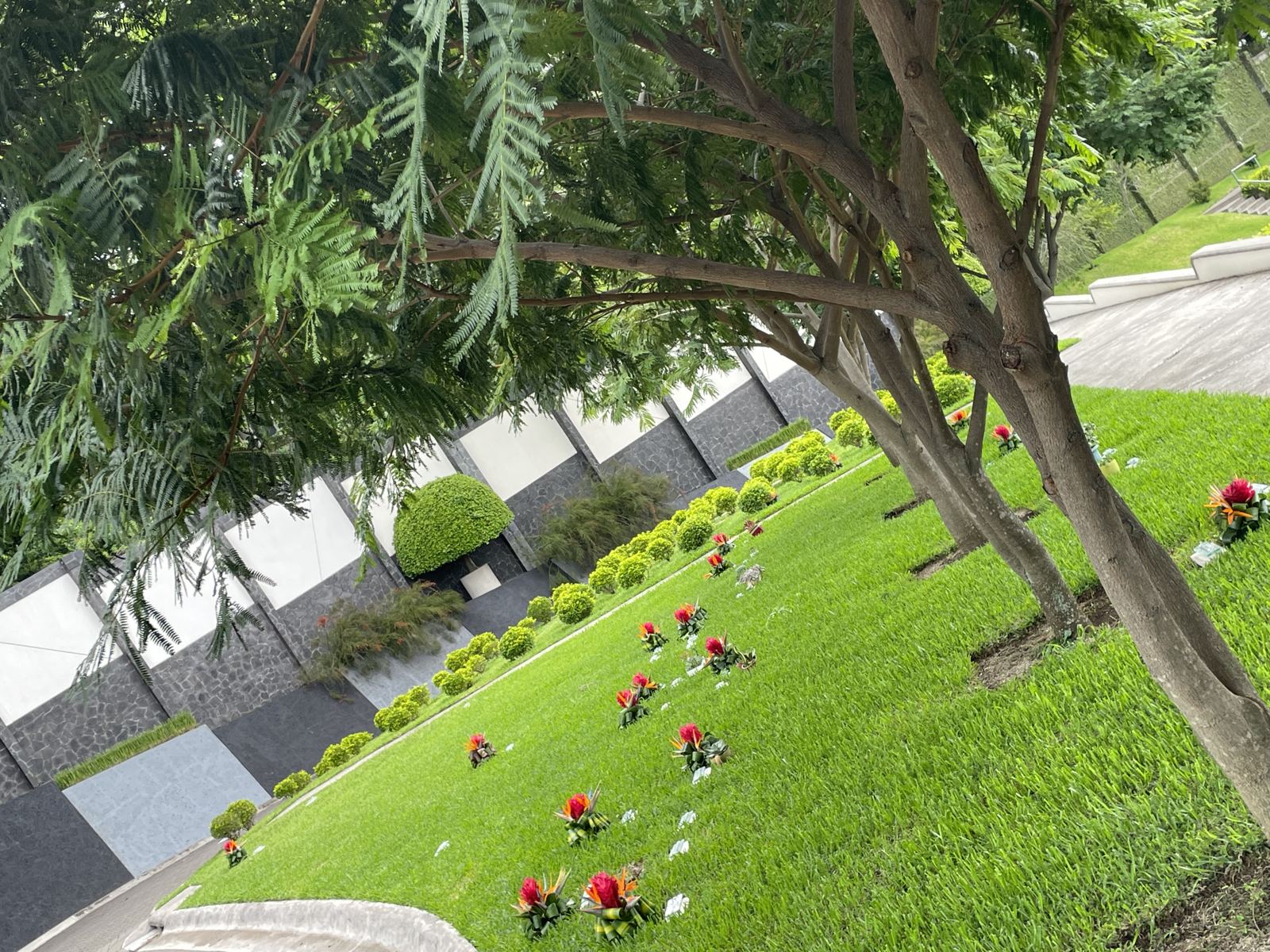 Jardines con flores rojas