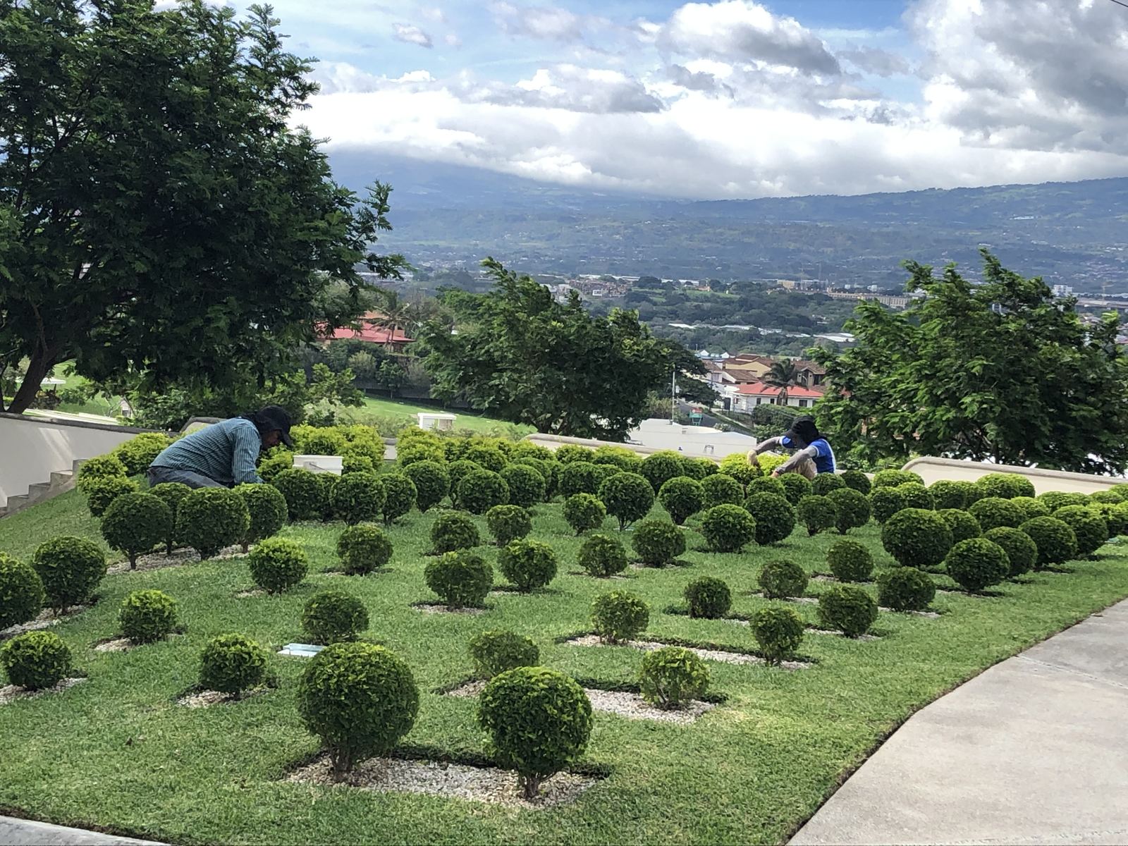 Cuidado de los jardines
